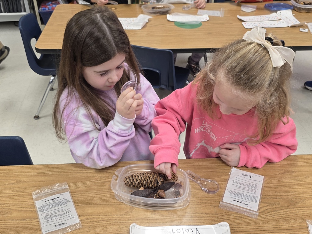 morton arboretum visit with students