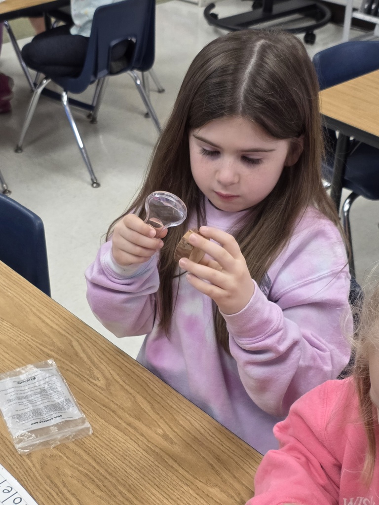 morton arboretum visit with students