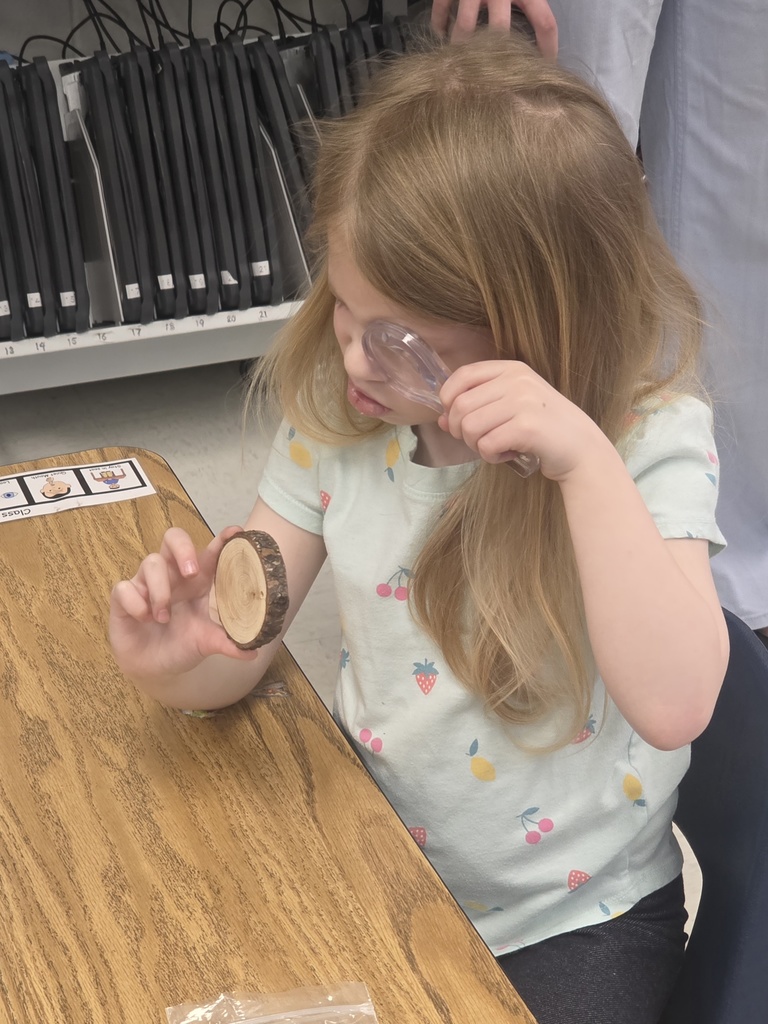morton arboretum visit with students