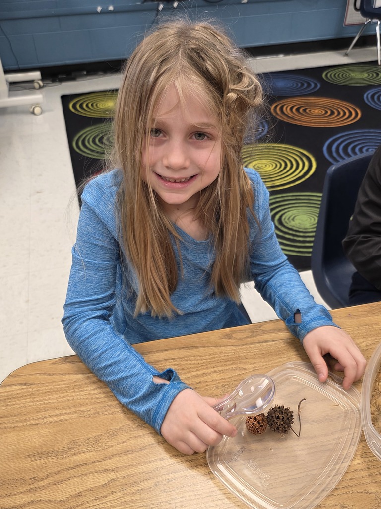 morton arboretum visit with students
