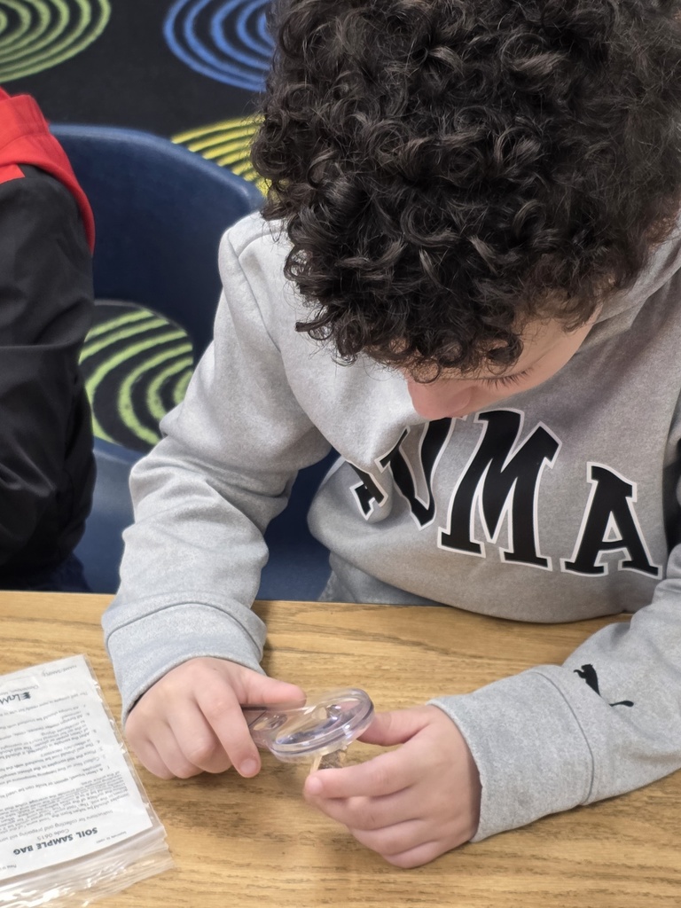 morton arboretum visit with students