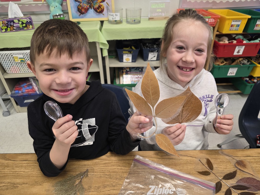 morton arboretum visit with students