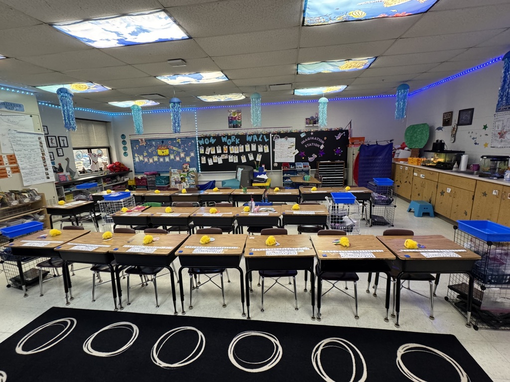 students with their hatched eggs