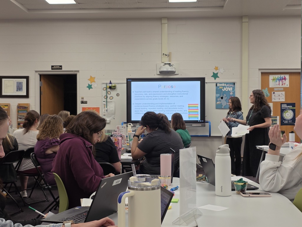 fluency professiona learning