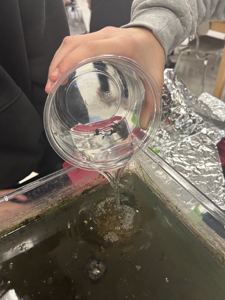 frogs in pond ecosystem