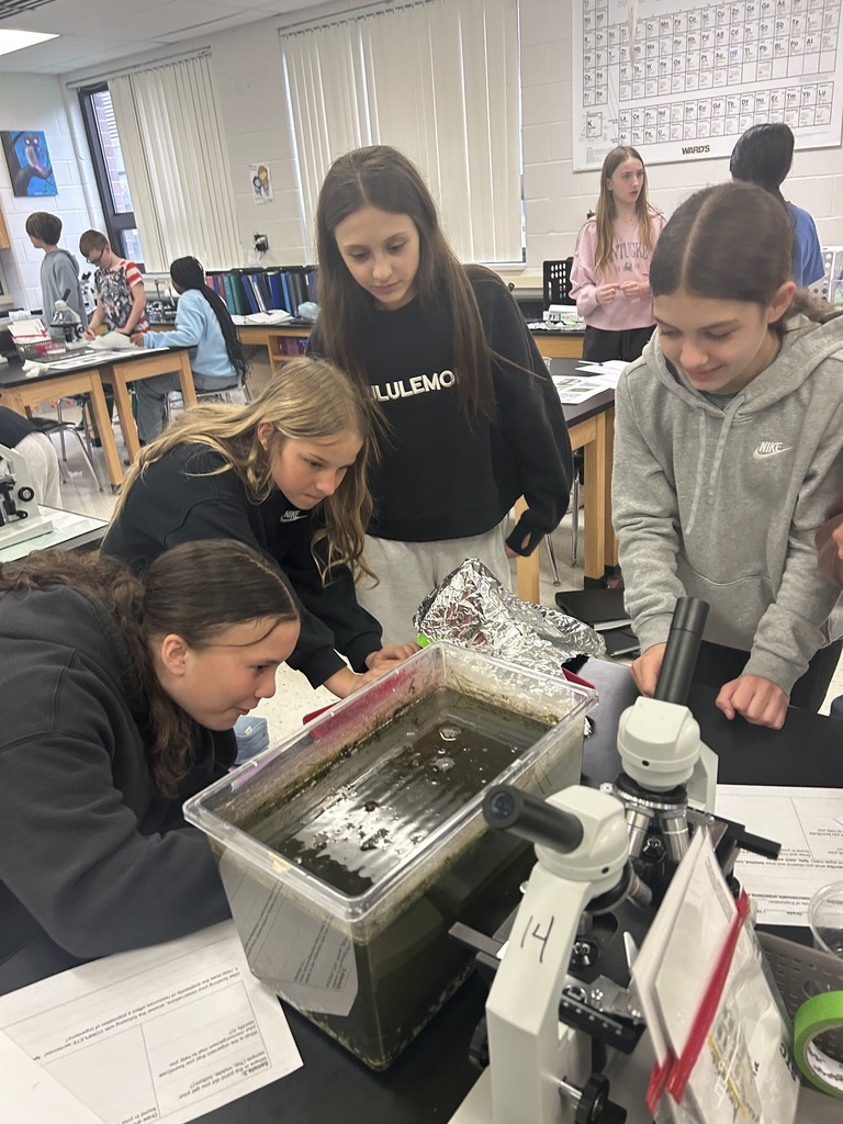 frogs in pond ecosystem