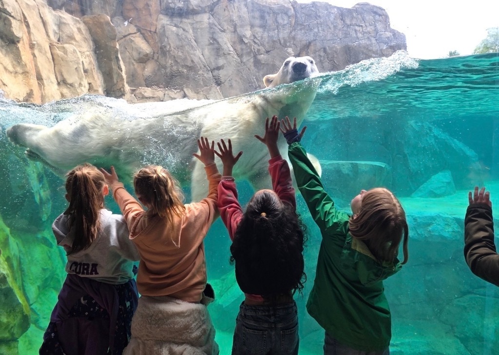 zoo field trip