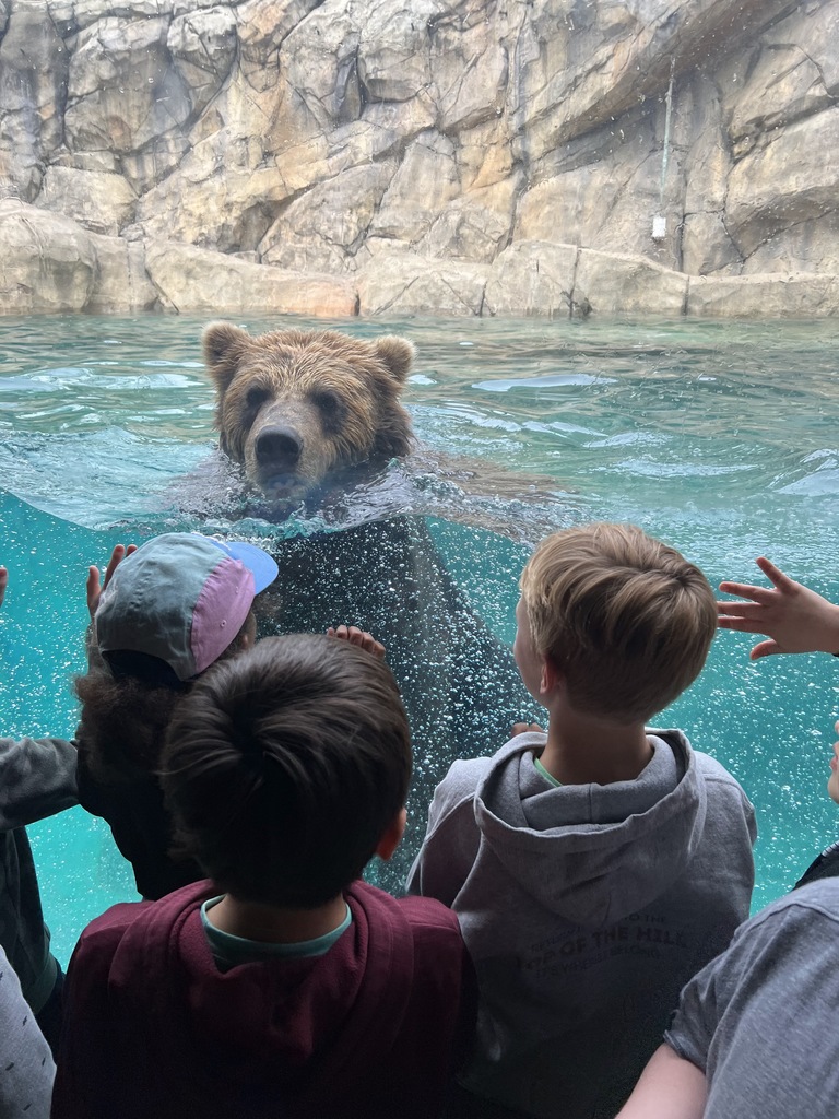 zoo field trip