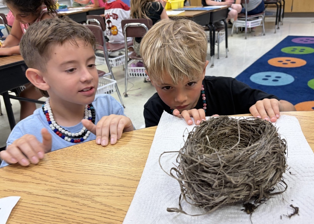 students with bird nest