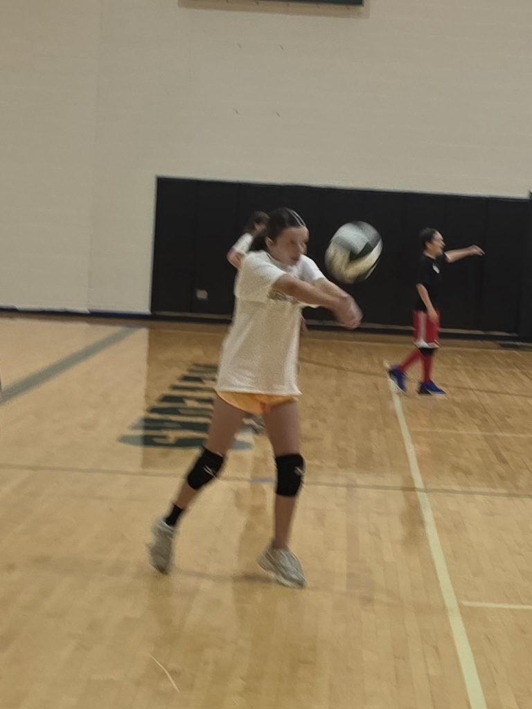 volleyball and badminton players