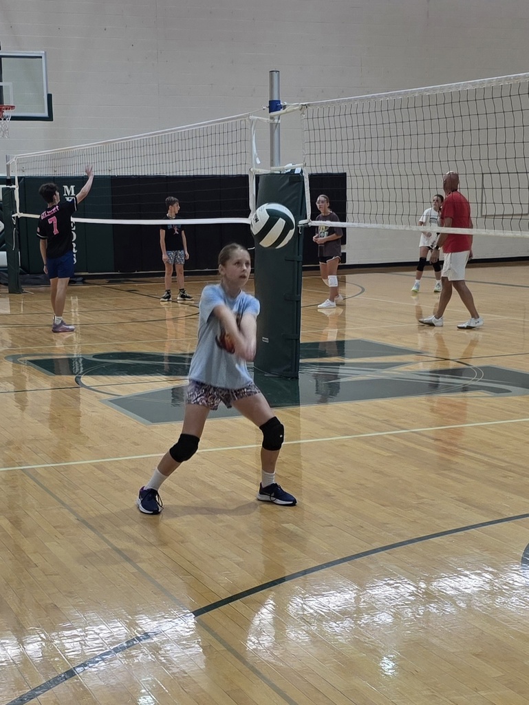 volleyball and badminton players