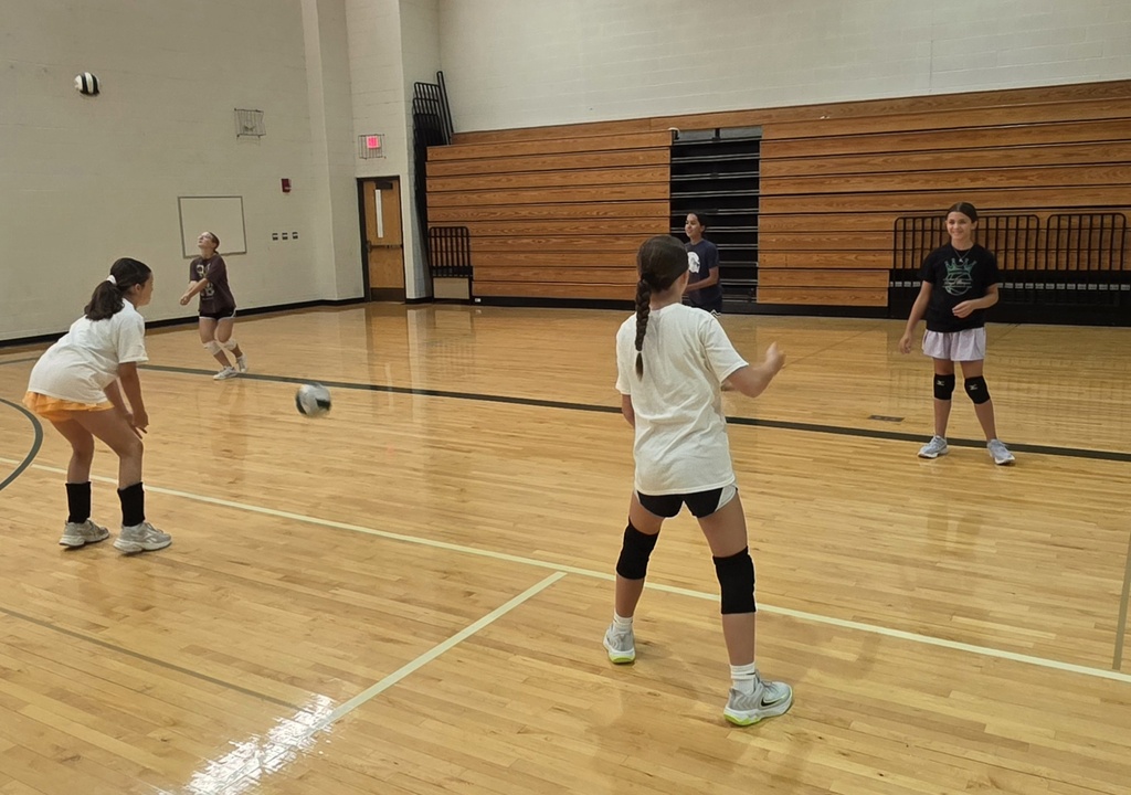 volleyball and badminton players