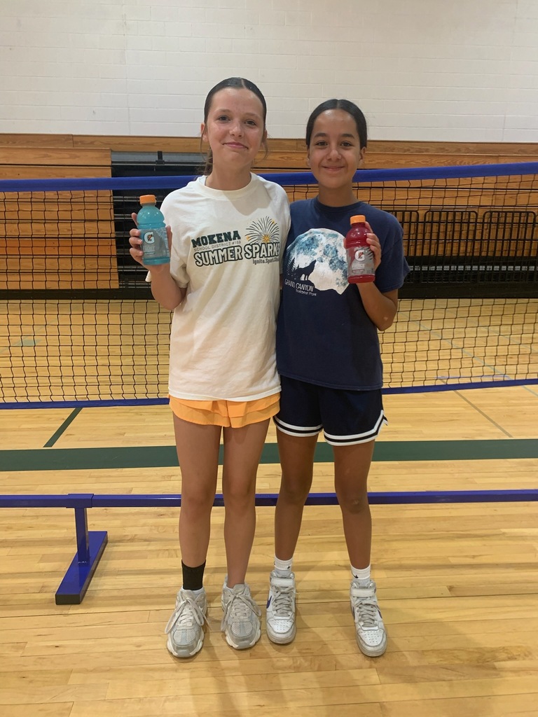 volleyball and badminton players