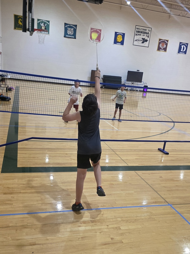 volleyball and badminton players