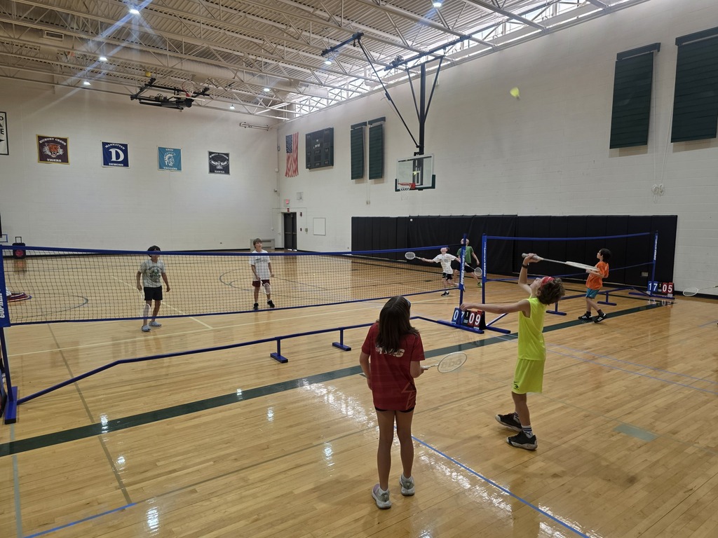 volleyball and badminton players