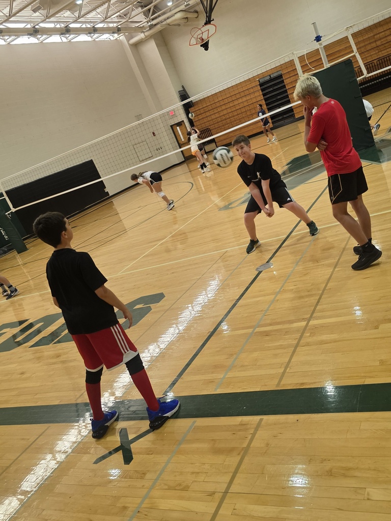 volleyball and badminton players