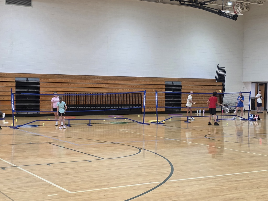 volleyball and badminton players