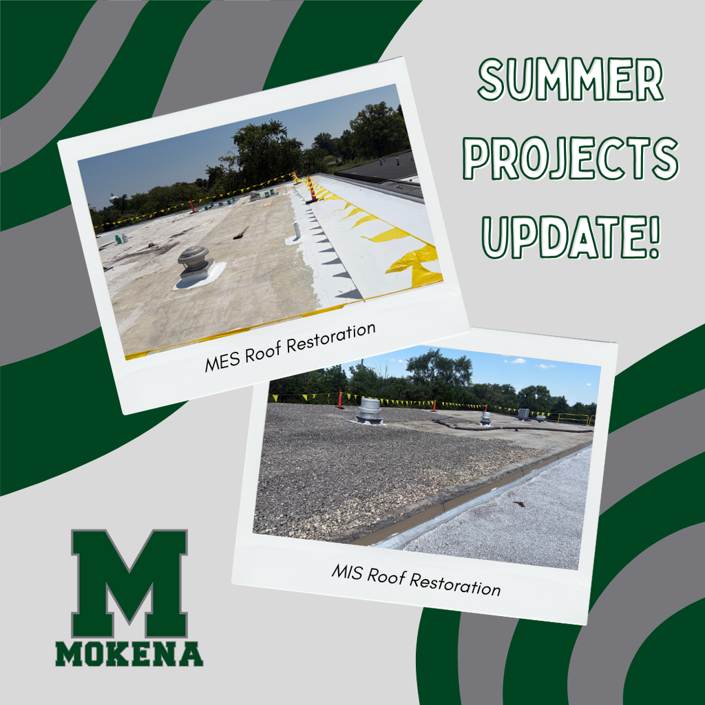 pictures of the roof restorations at each school