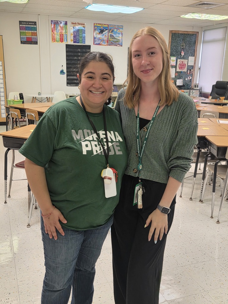 mentors luncheon and time spent together
