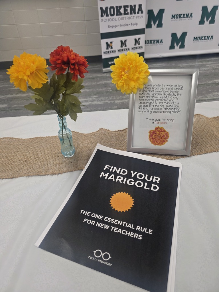 mentors luncheon and time spent together