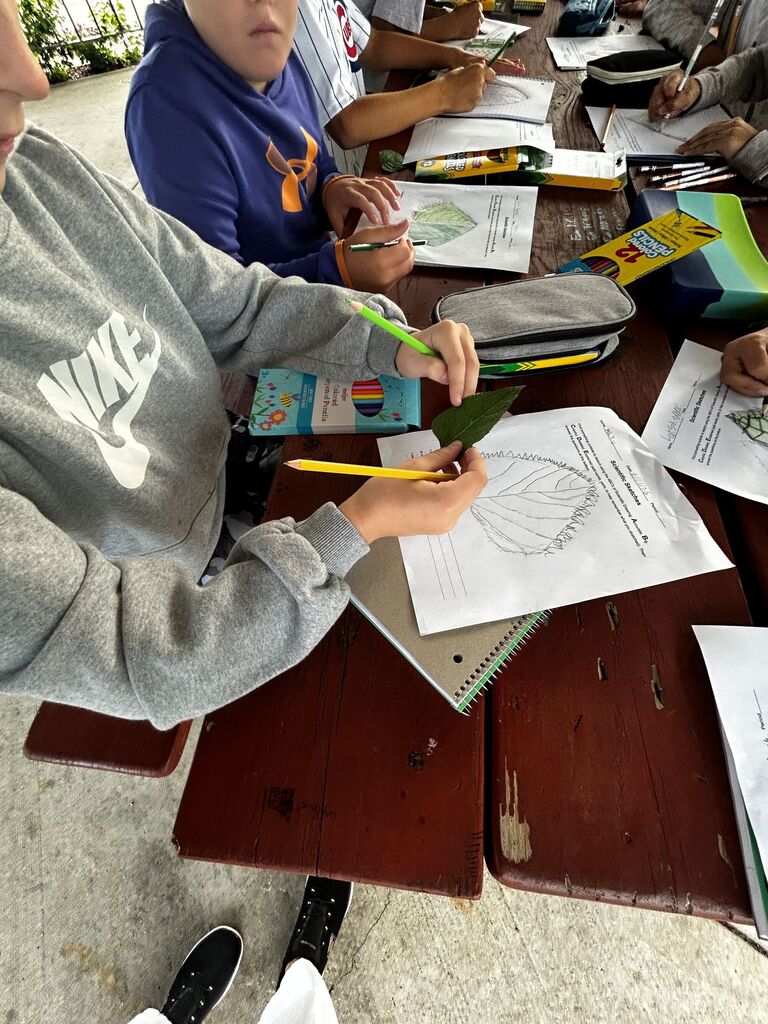 students creating scientific drawings outside