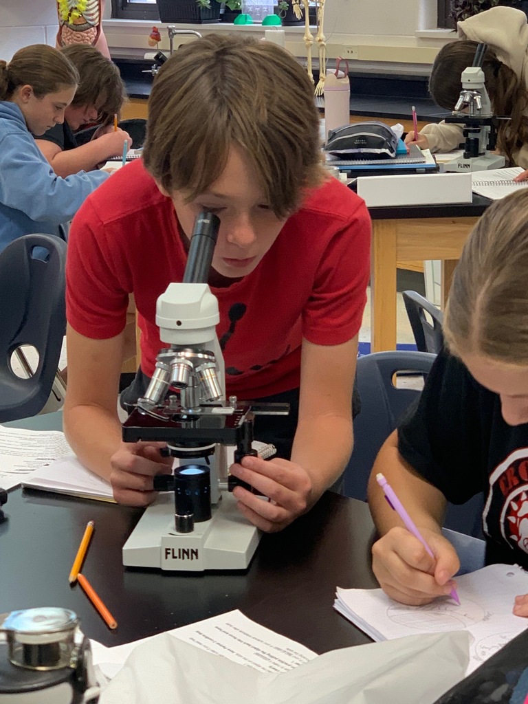 students looking into a microscope
