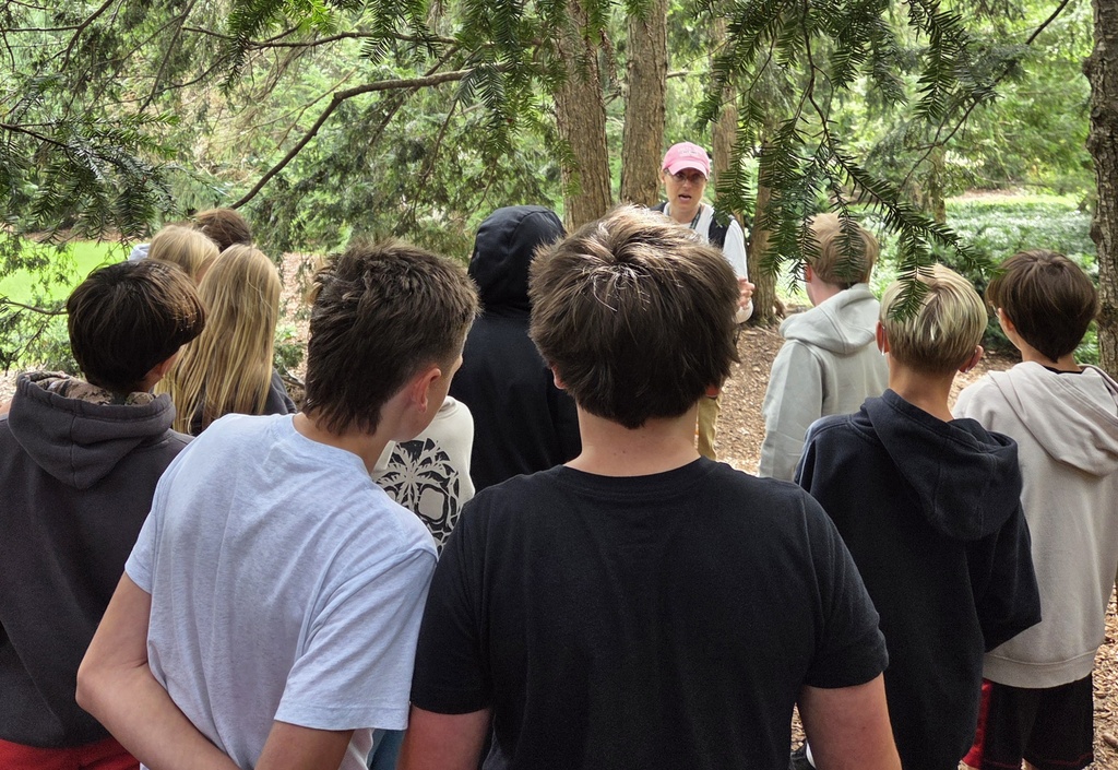 morton arboretum