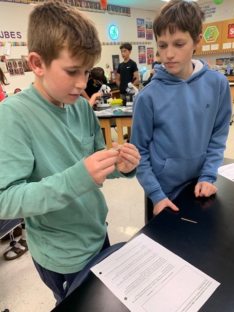 7th graders investigating with the microscope