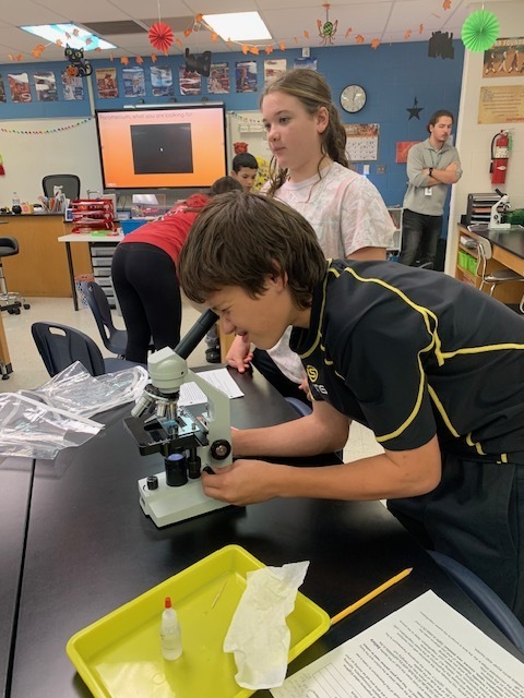 7th graders investigating in the microscope