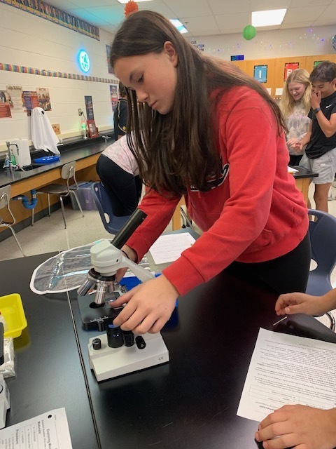 7th graders investigating with the microscope