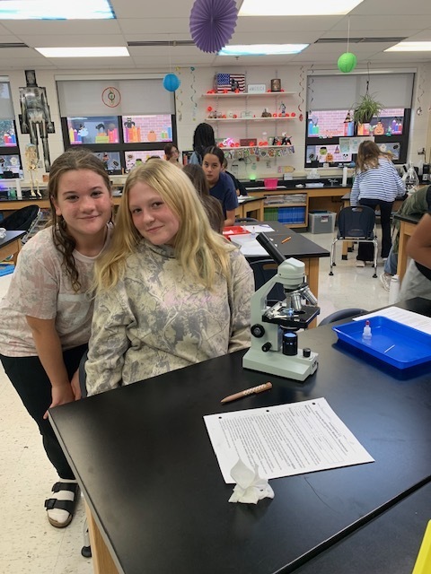 7th graders investigating with the microscope