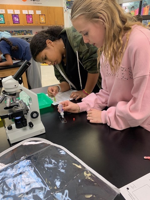7th graders investigating with the microscope