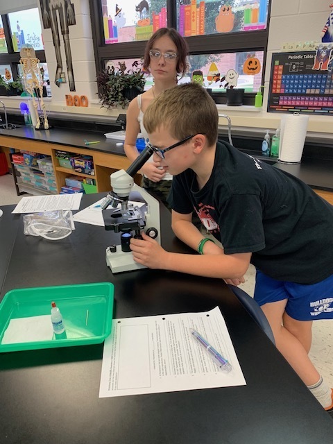 7th graders investigating with the microscope