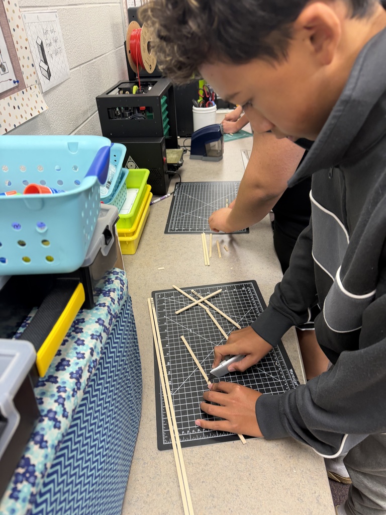students building and designing a model house