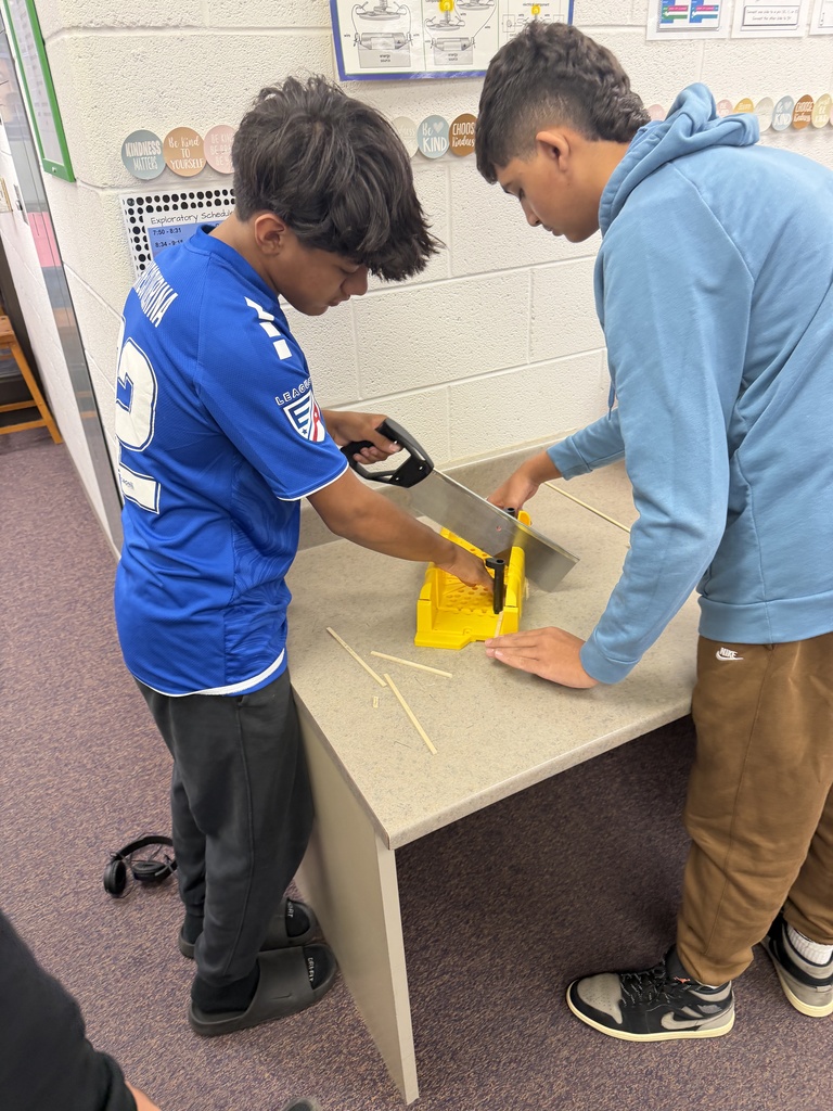 students building and designing a model house