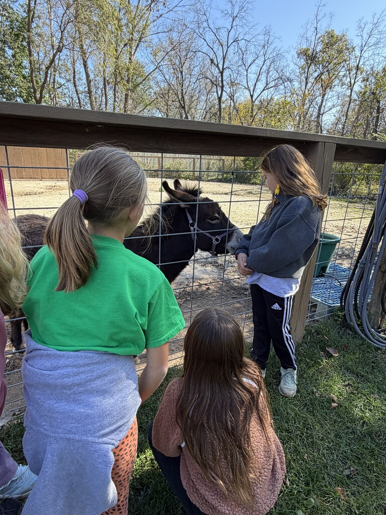 students on the field trip