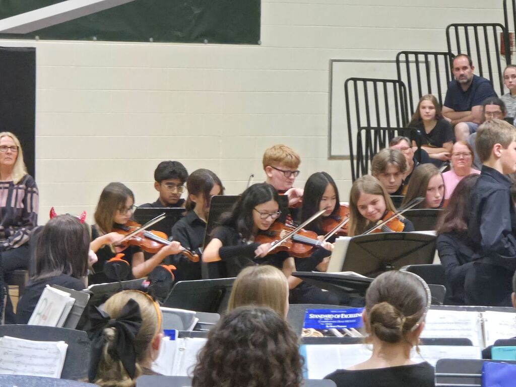 musicians playing istrument at concert