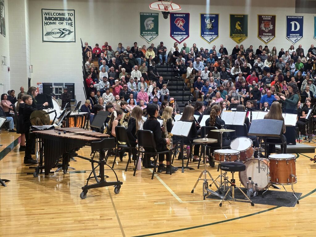 musicians playing istrument at concert
