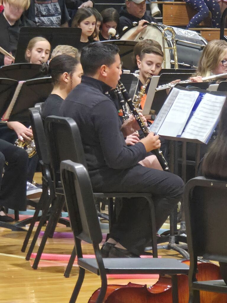 musicians playing istrument at concert
