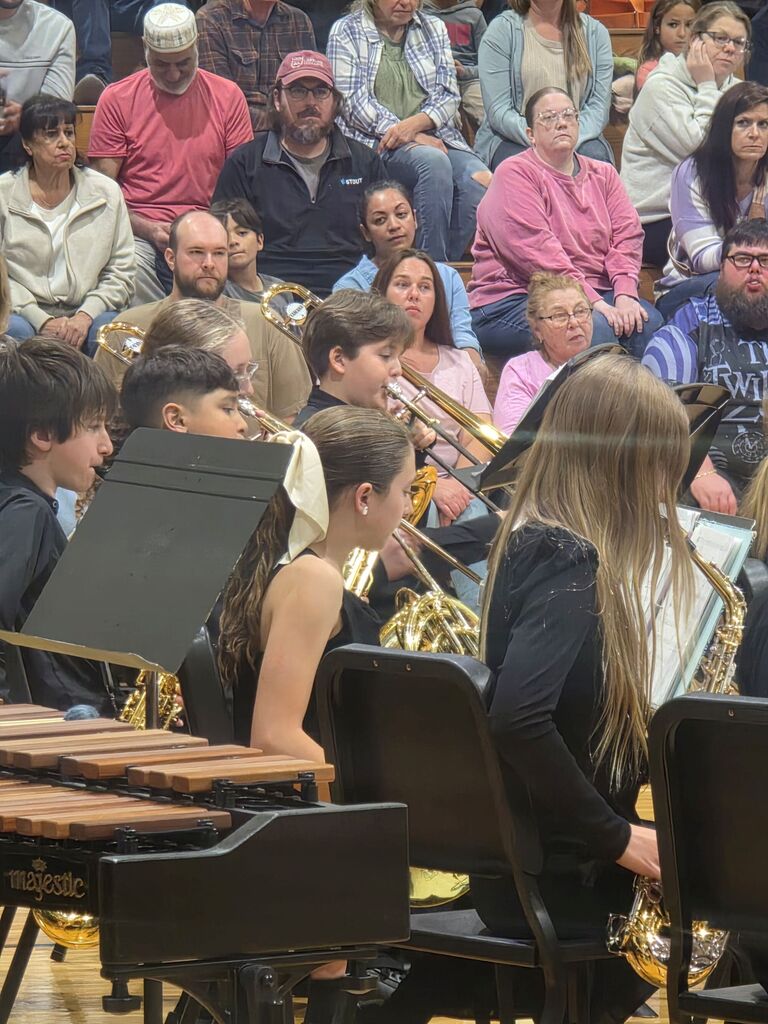 musicians playing istrument at concert