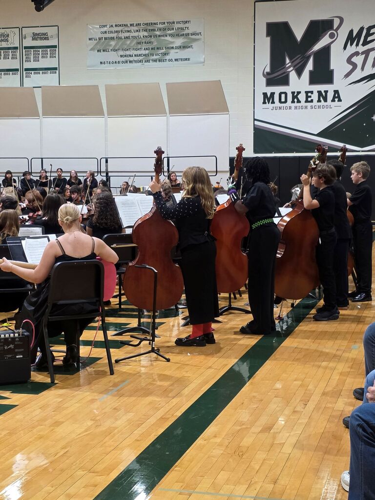 musicians playing istrument at concert