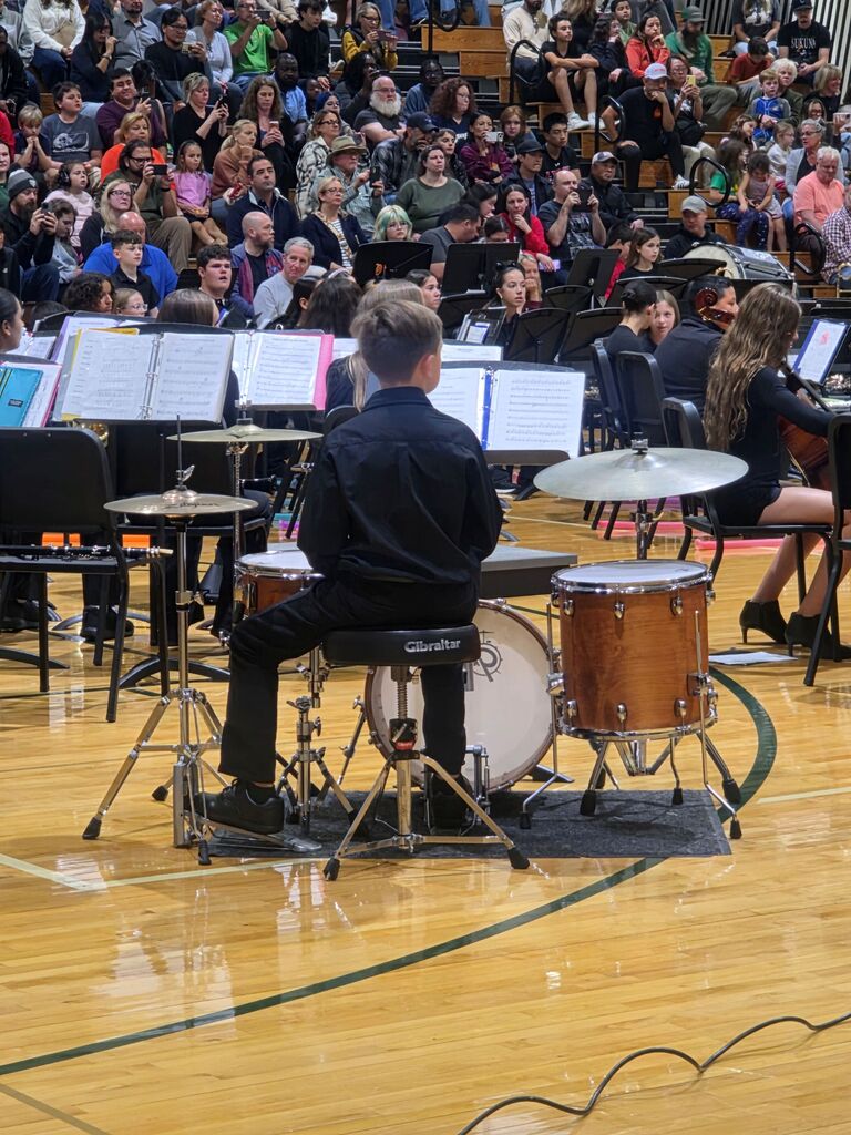 musicians playing istrument at concert