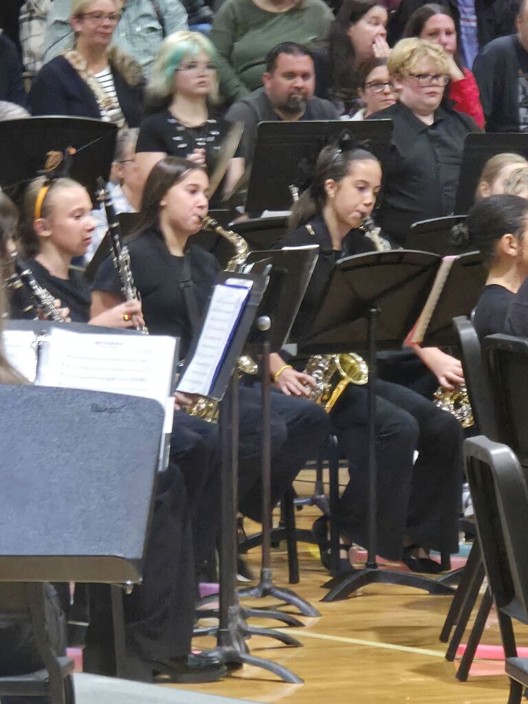 musicians playing istrument at concert