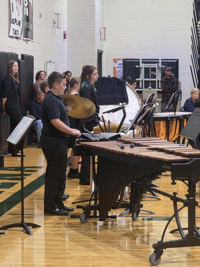 musicians playing istrument at concert