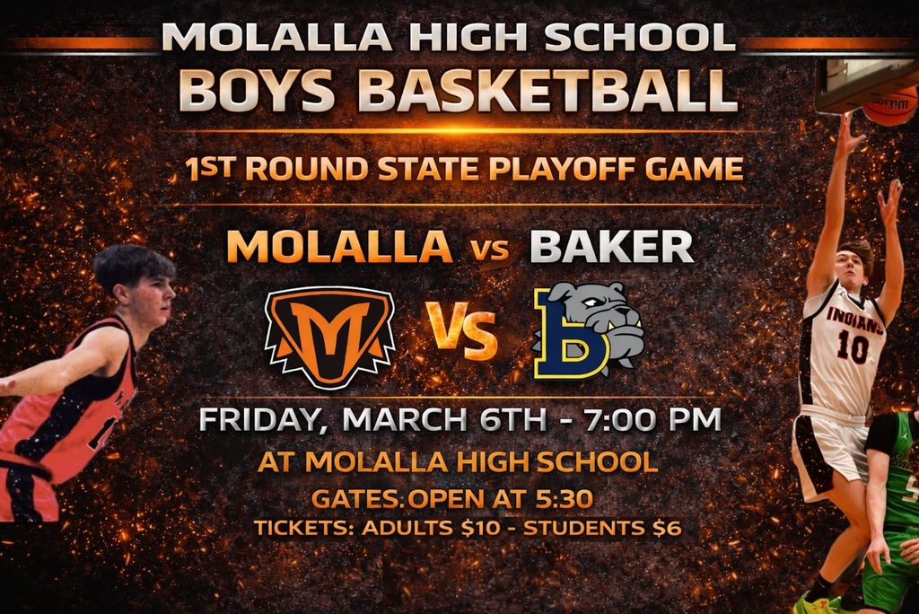Details about Friday Boys Basketball Playoff