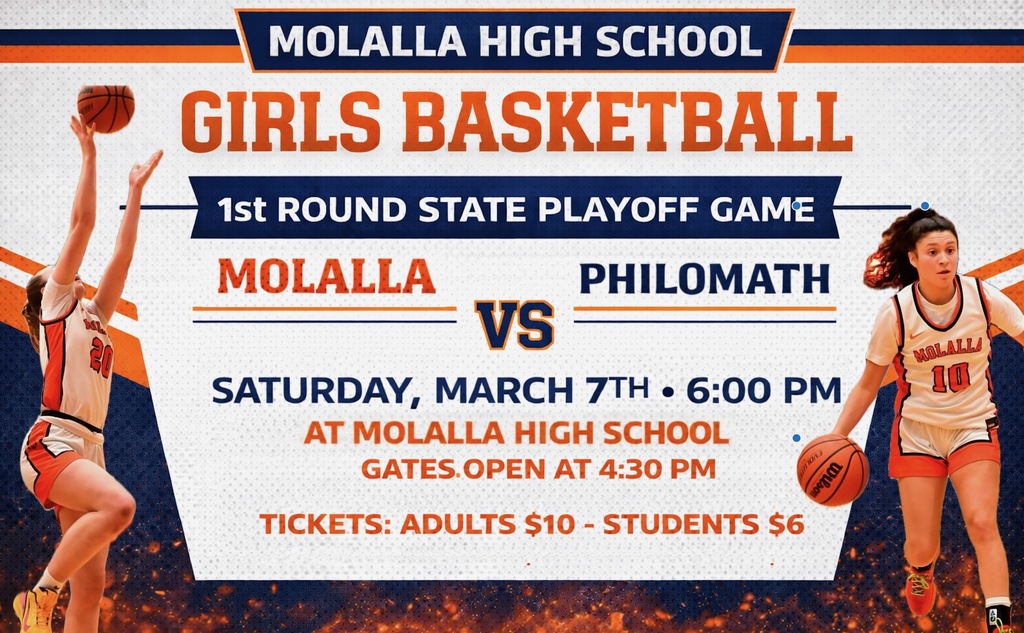 Details about Friday Girls Basketball Playoff