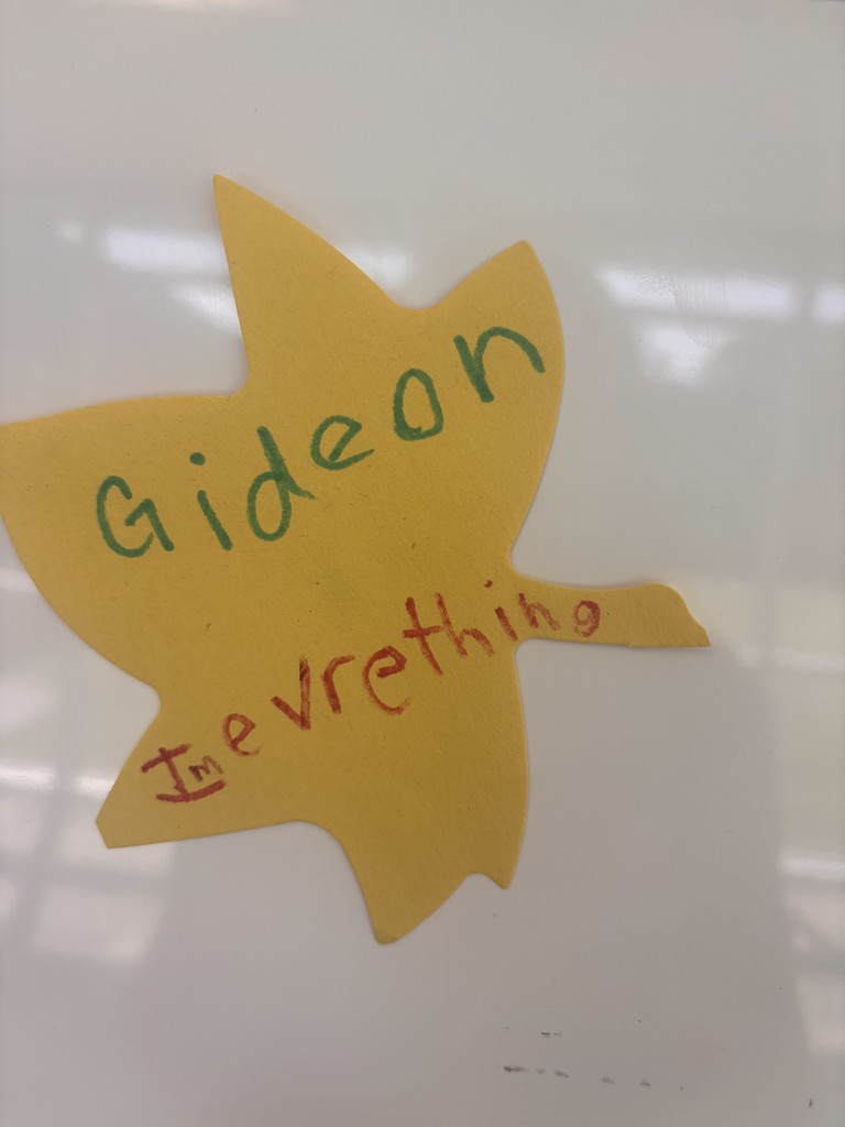 everything