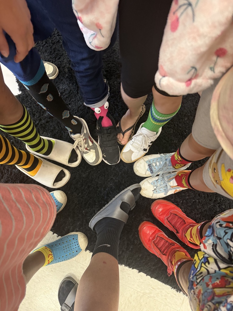 sock 6
