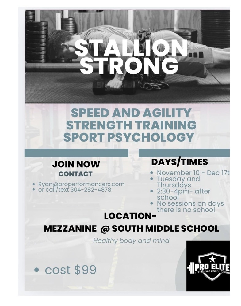 Flyer for Stallion Strong Program. Shows a boy doing push ups on weights. Has contact info and days/times. Cost $99 Location South Middle School