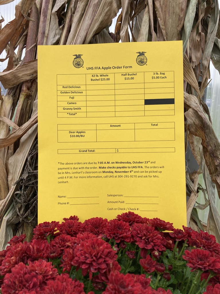 picture of the cornstalks and mums with the order form to buy them from UHS FFA
